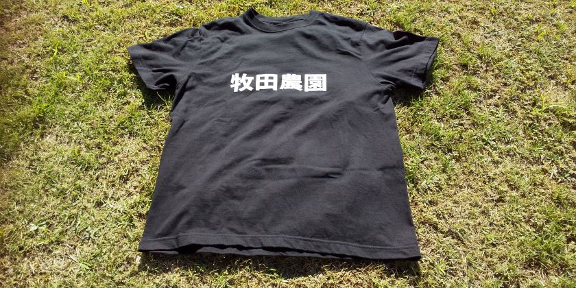 Tシャツ表
